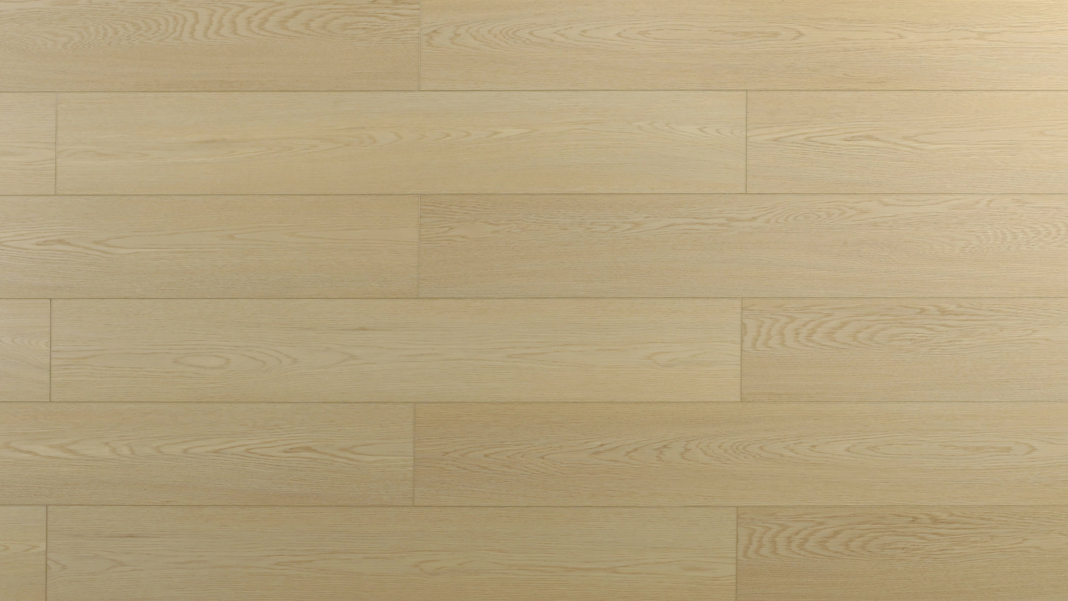 Biscuit — SPC2 Series 6.5 mm