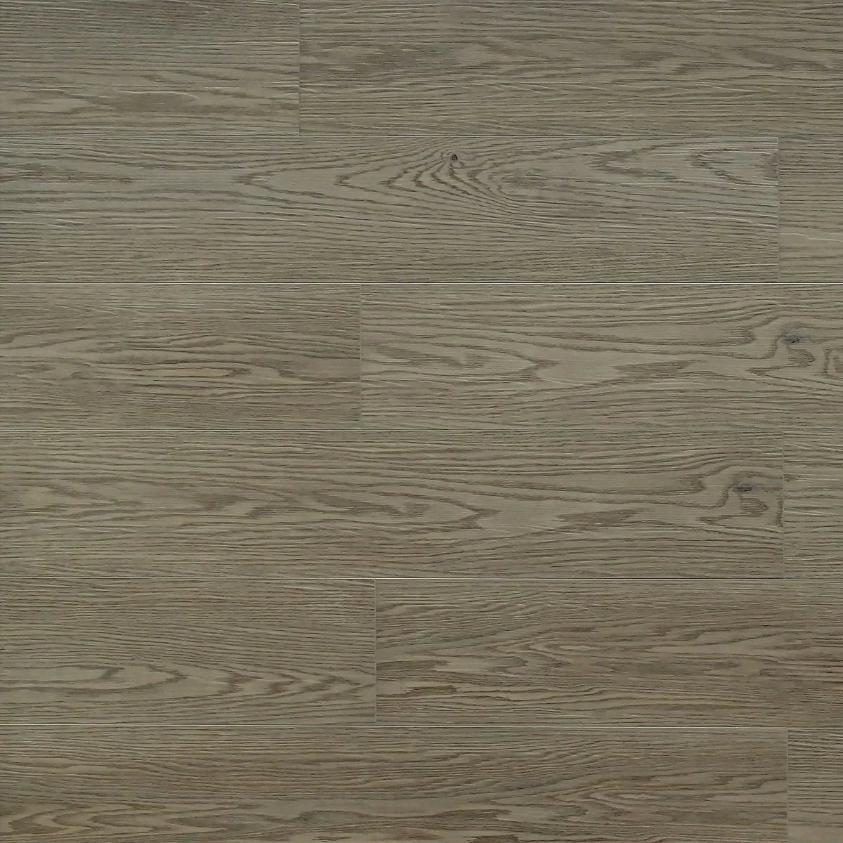 Rome — SPC6 Series 8.0 mm (Antique Wood)