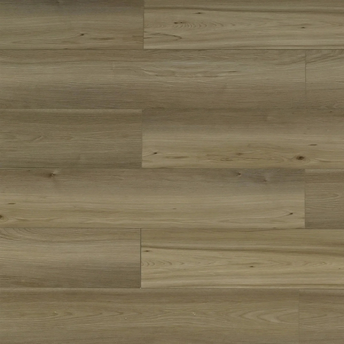 Lion — SPC6 Series 8.0 mm (Antique Wood)