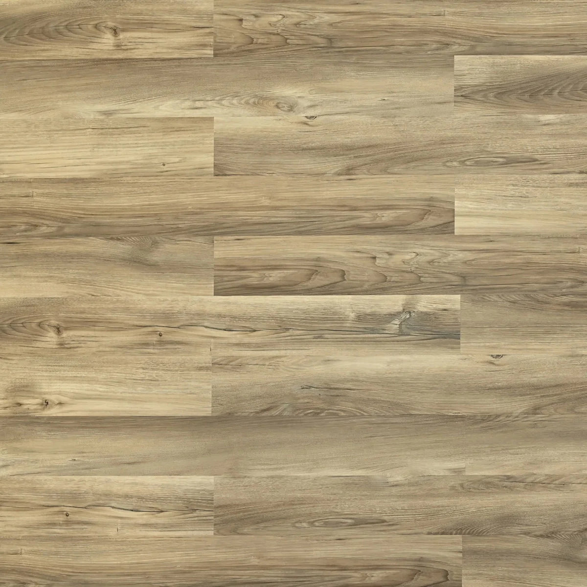 Stonington — SPC7 Series 8.0 mm (Square Edge)