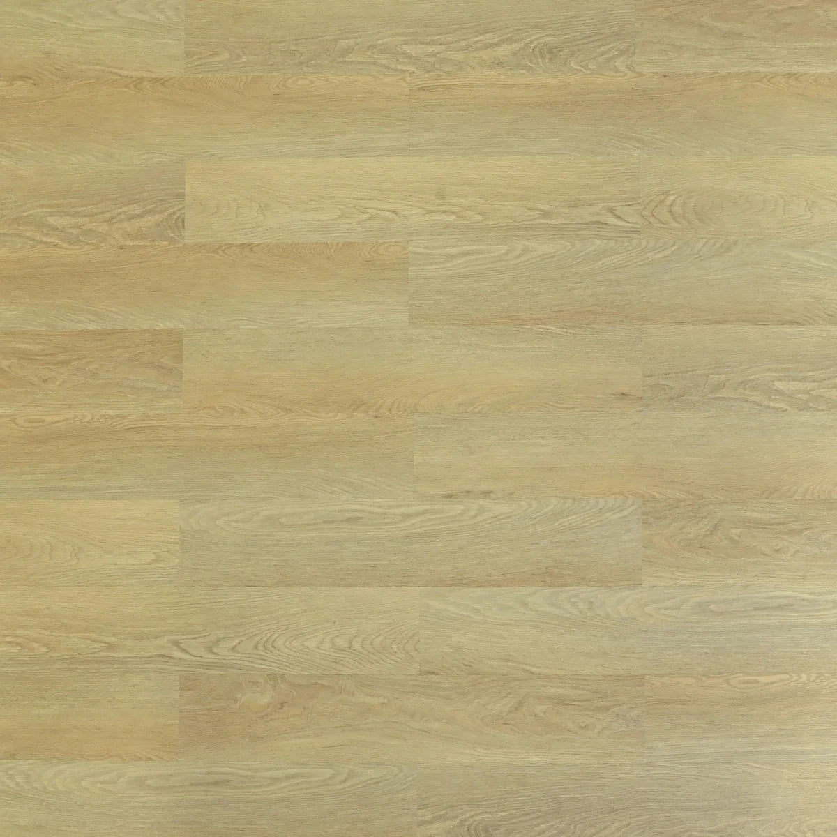 Kennebunkport — SPC7 Series 8.0 mm (Square Edge)