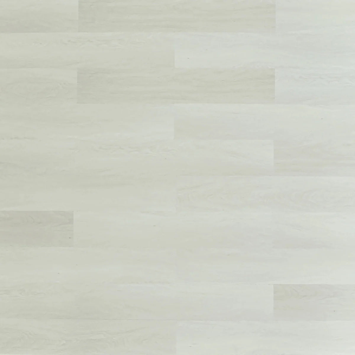 Oyster Bay — SPC7 Series 8.0 mm (Square Edge)