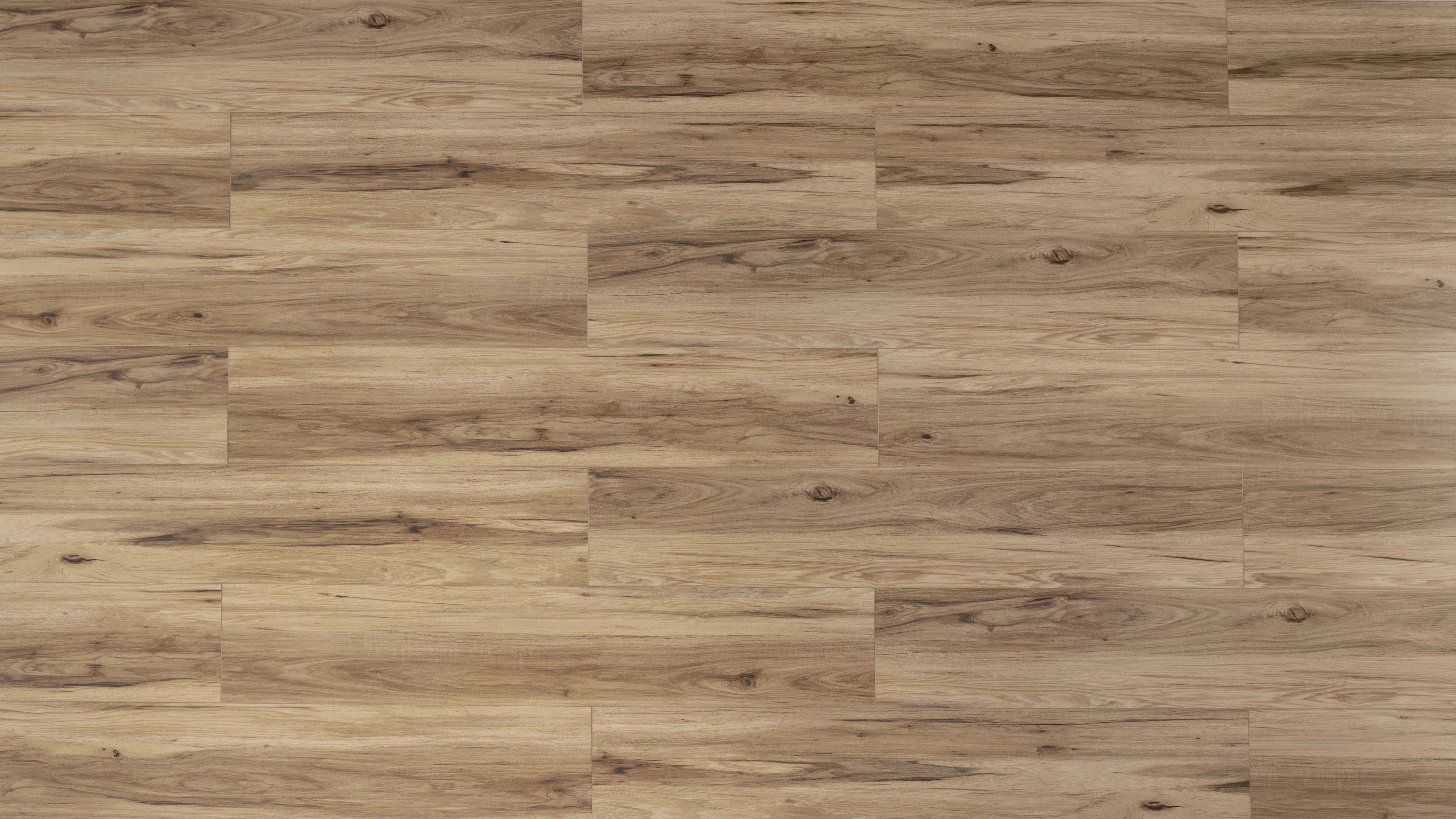 Birch Whisper — SPC86 Series 8.0 mm (New Arrival)
