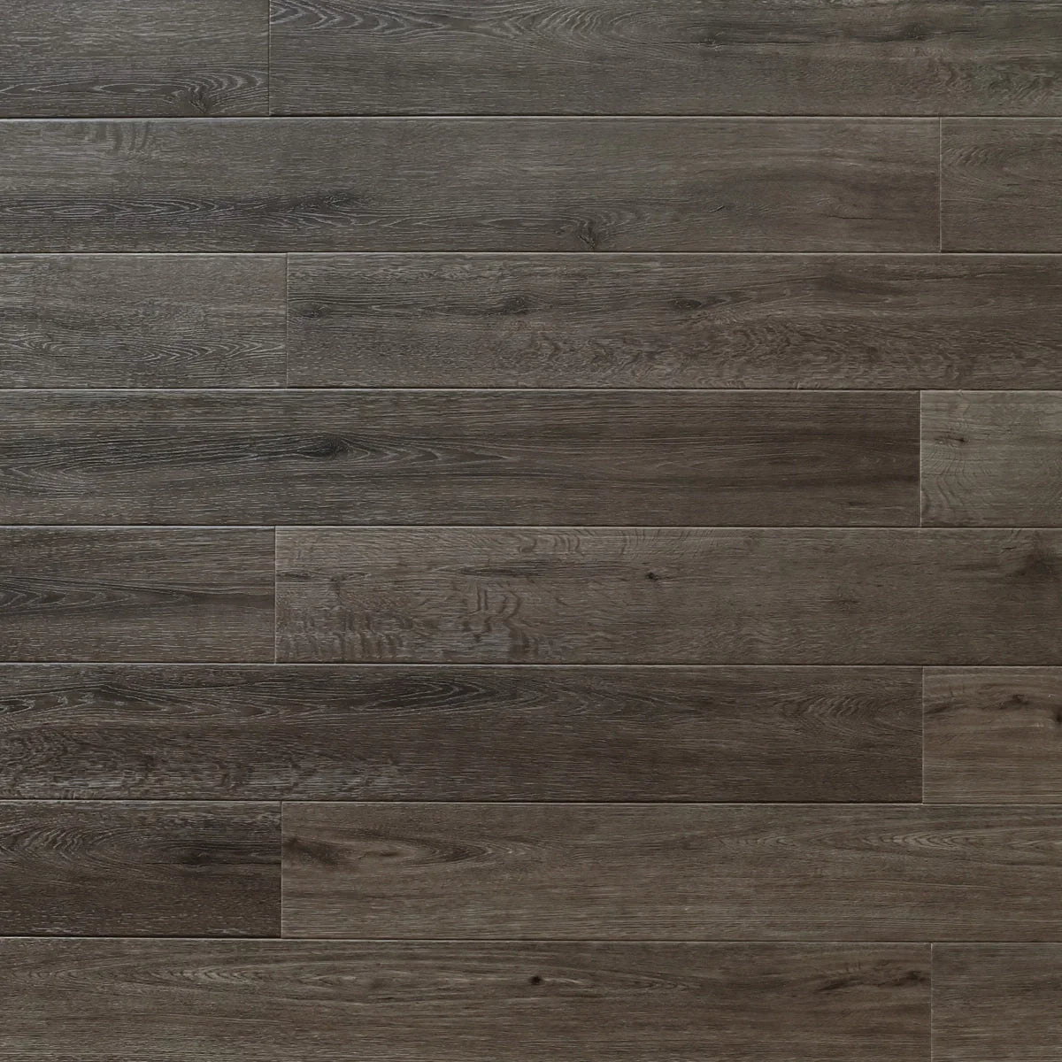 Cocoa — SPC9 Series 9.0 mm (Timeless)