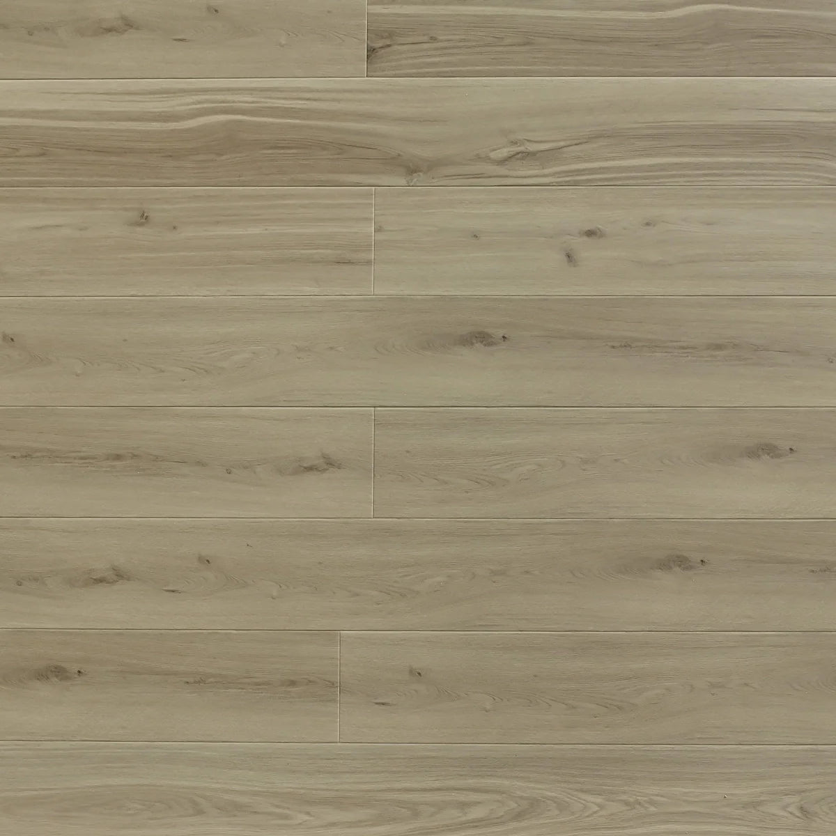 American Oak — SPC9 Series 9.0 mm (Timeless)