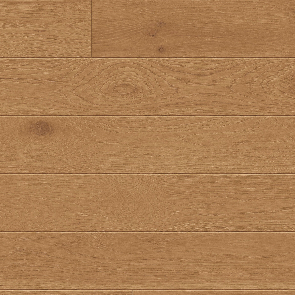 Woodland — Studio Collection (White Oak)