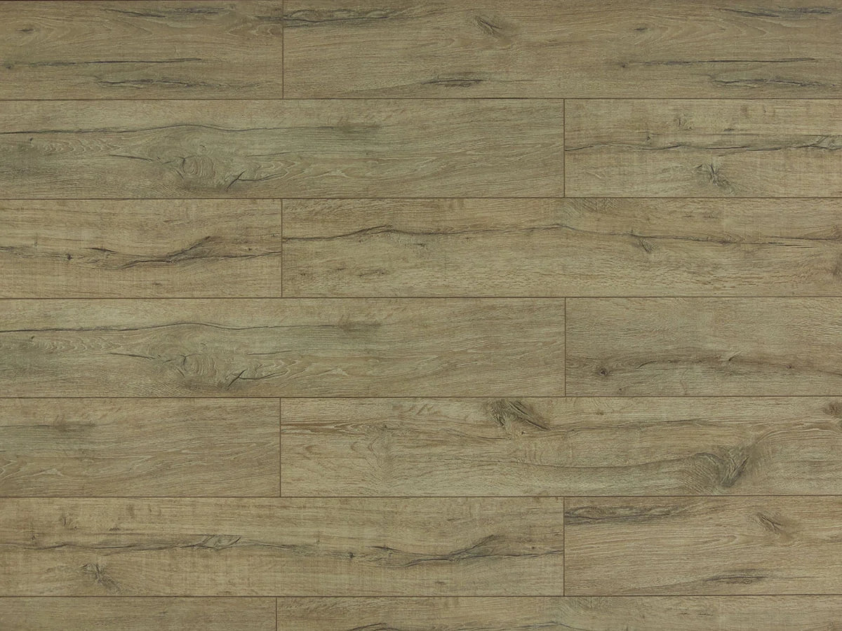 Brownstone — EIR Collection