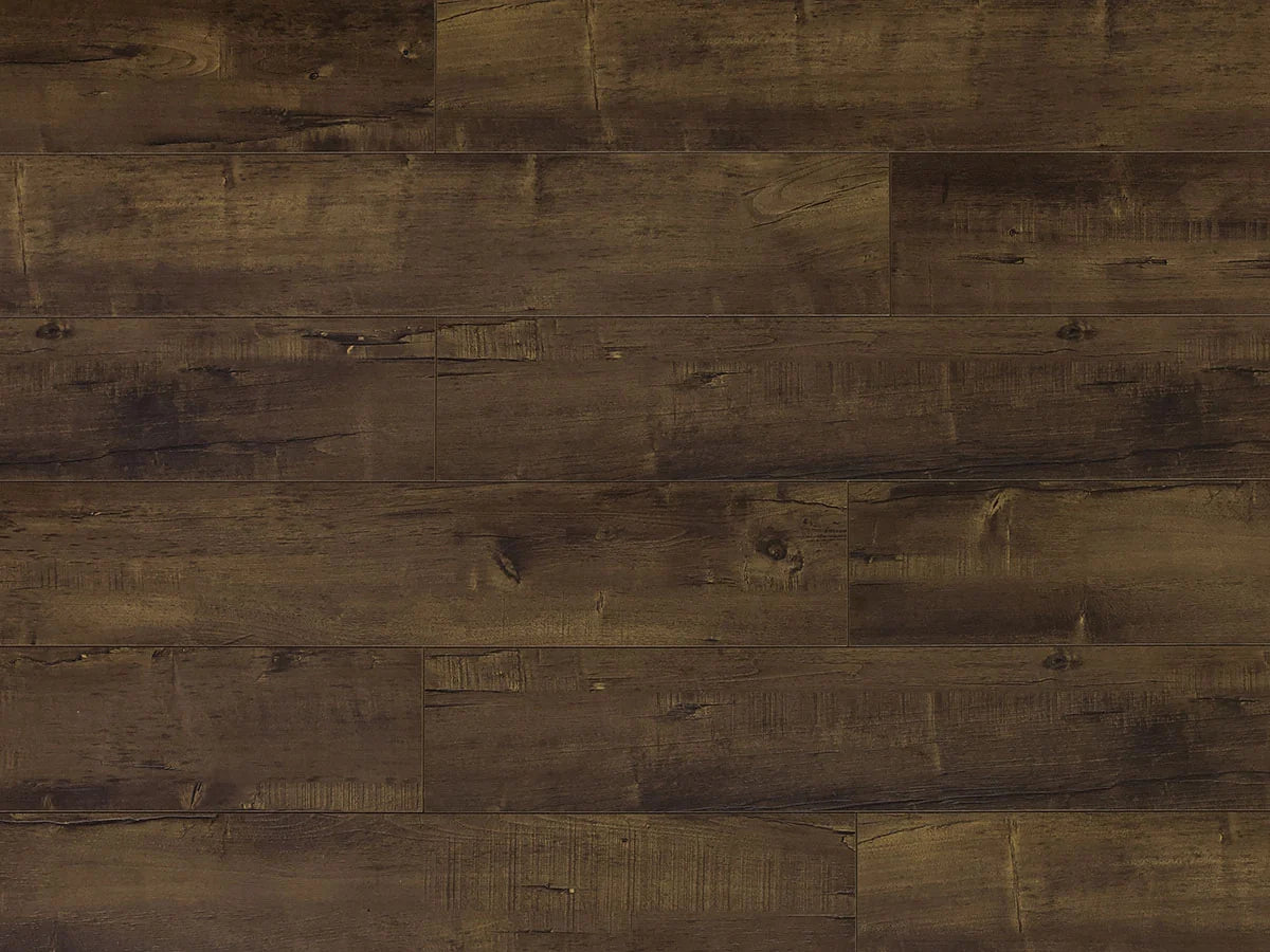 Elegant — EIR Collection