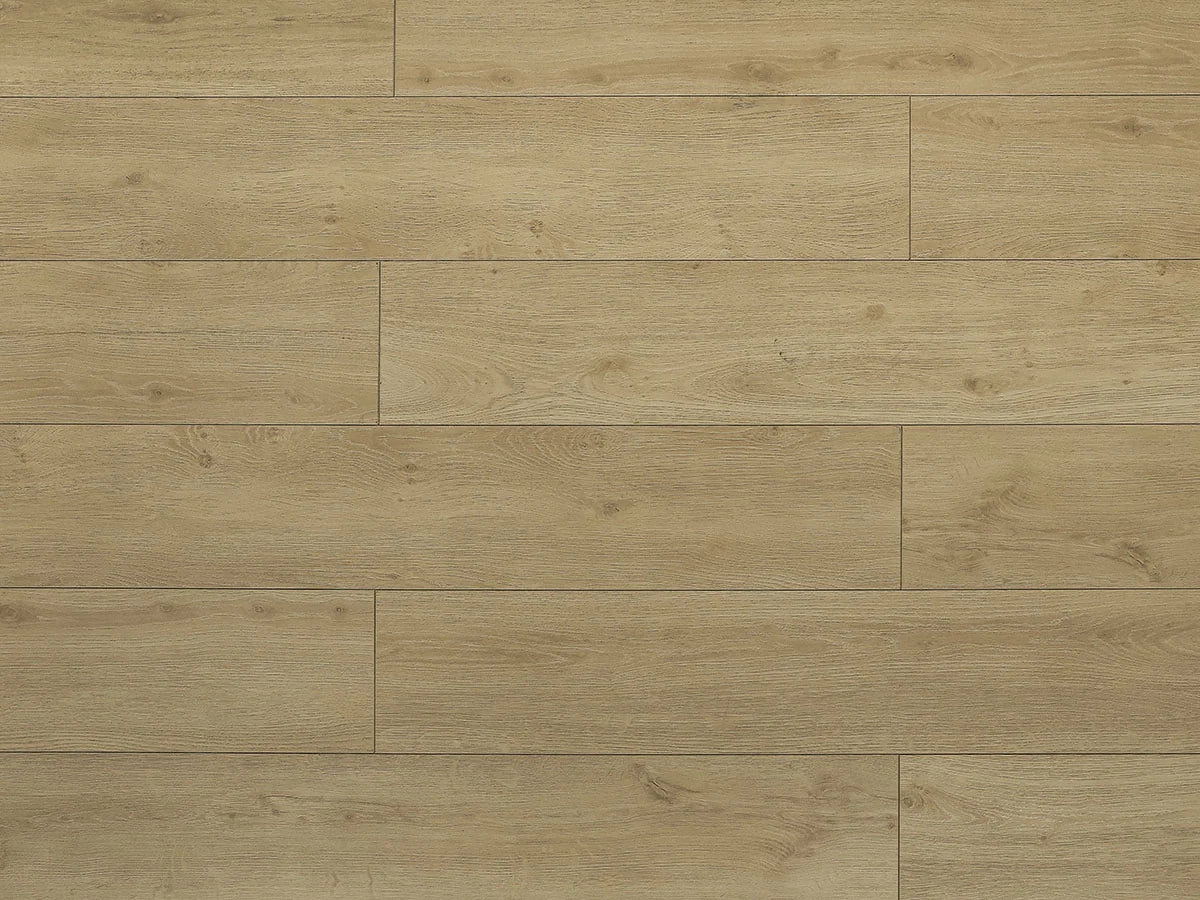 Warm Chestnut — EIR Collection
