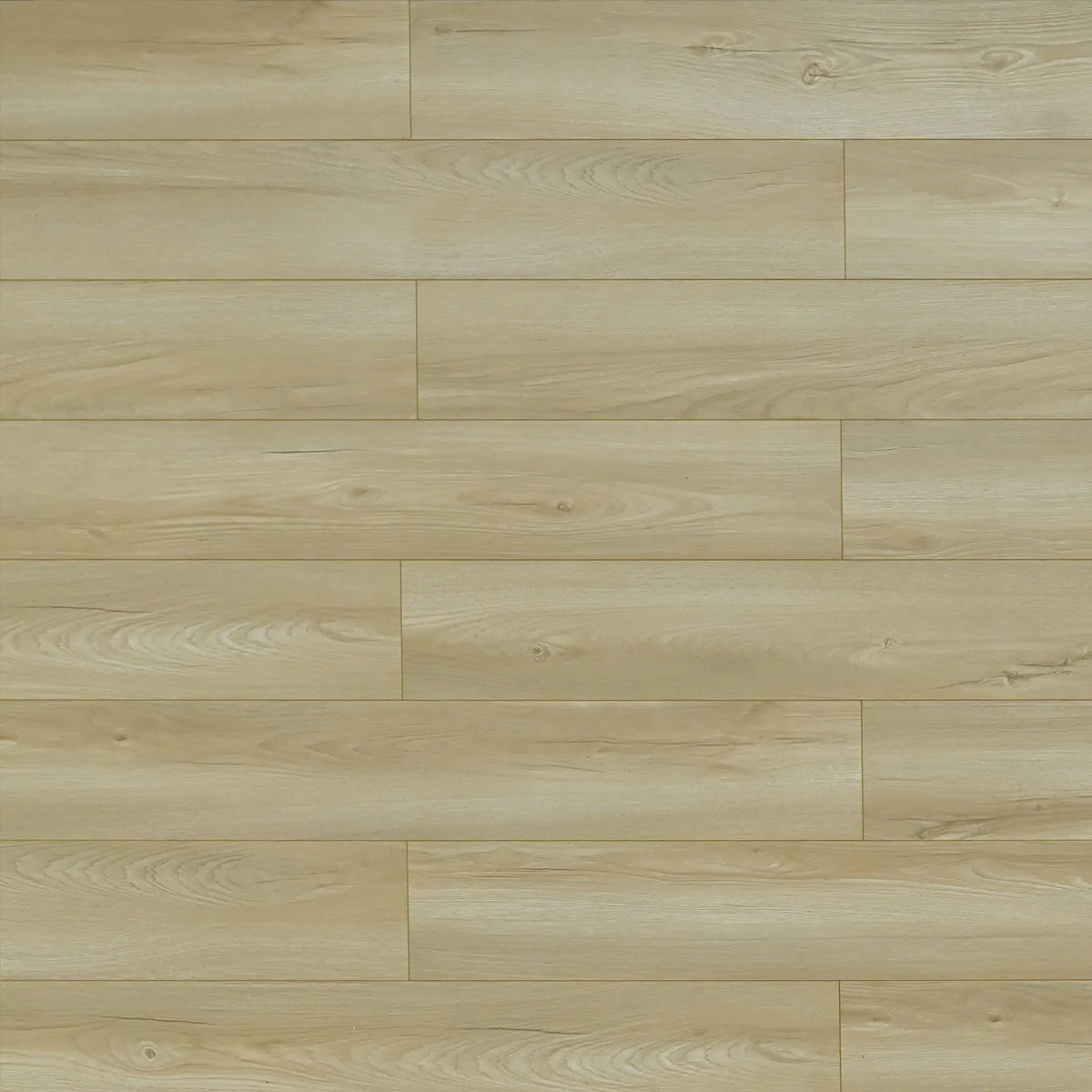 Edgewood — 66 Series EIR Waterproof