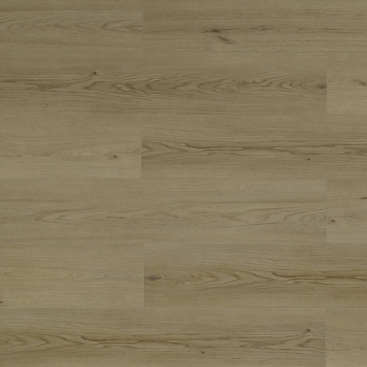 Whistler Pine — Looselay 5.0 mm