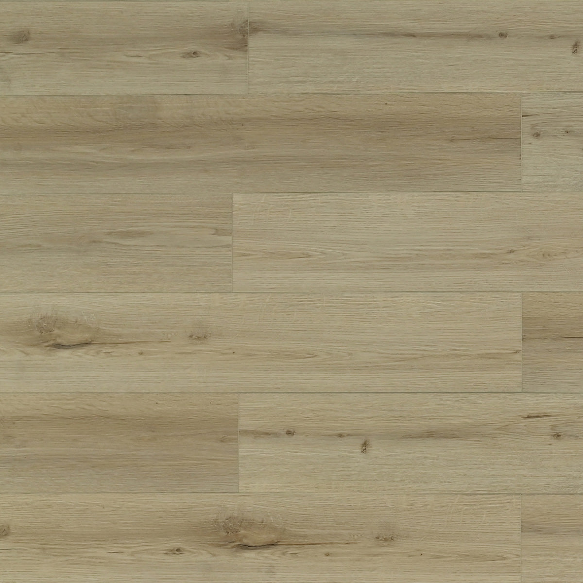 Honey Birch — Looselay 5.0 mm